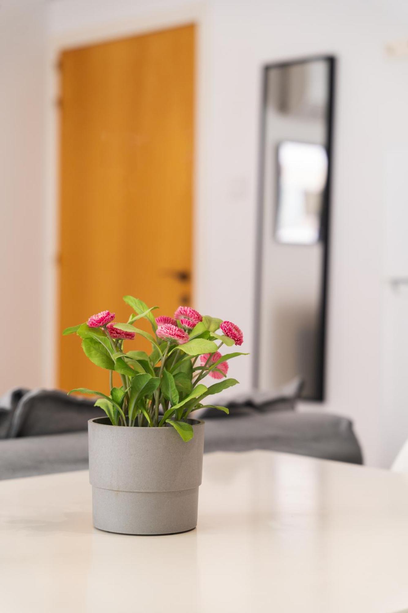 Kave Blue Mackenzie 1 Bdr Flat With Pool Apartment Larnaca Ngoại thất bức ảnh